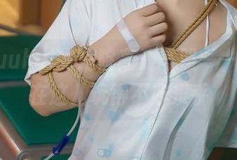 玉汇yuuhui的庭院高清写照——宠儿们在这儿玩得不亦乐乎