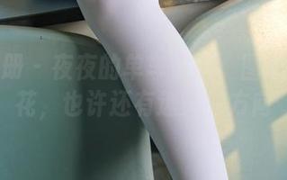 稚乖画册 – 夜夜的单车冒险：图片中有野花，也许还有迷失的方向