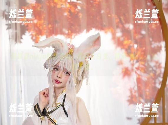 阿寨寨ninja的新尝试：肉肉大白兔，精选作品让人忍俊不禁。
